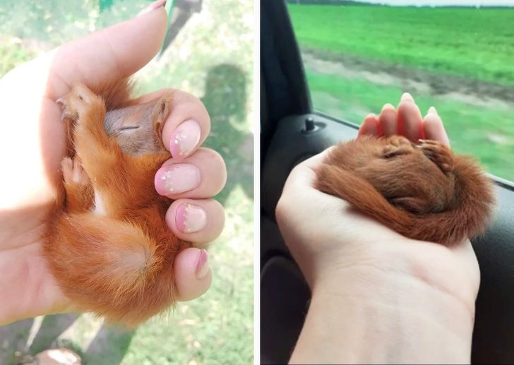 c7663453078475caa43b077300