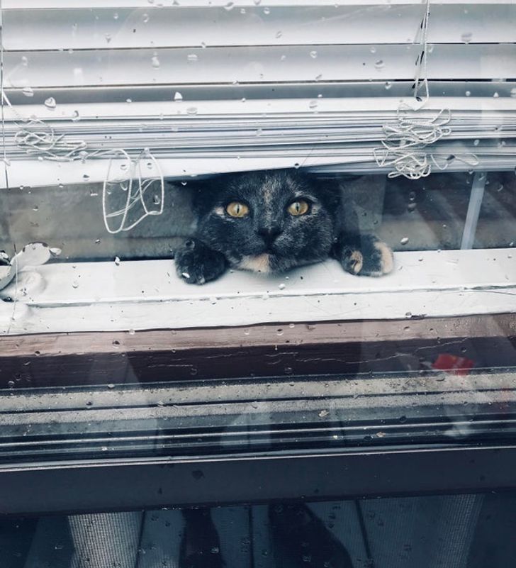 c76de25841bf9f92dac76ca1bb