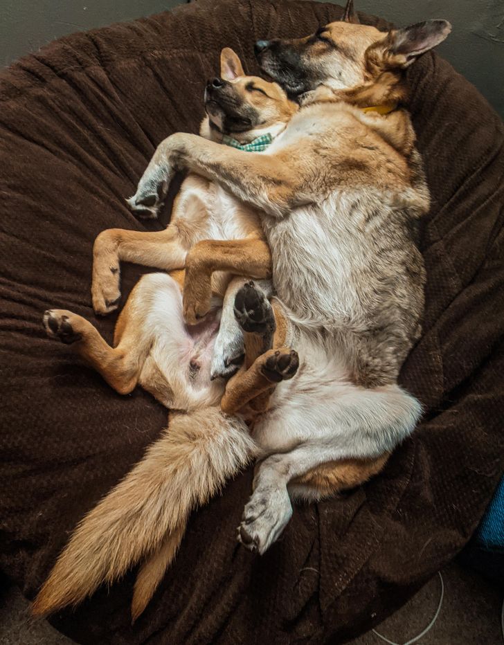 c772725f398532bf8a6b13ec86