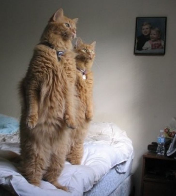 c77a1e5adc9b467ef0d8ae10af