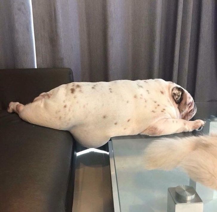 c77c1c58aba408a01e3fb9458c