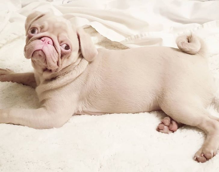 c77d6356b69b47e0b56605677a