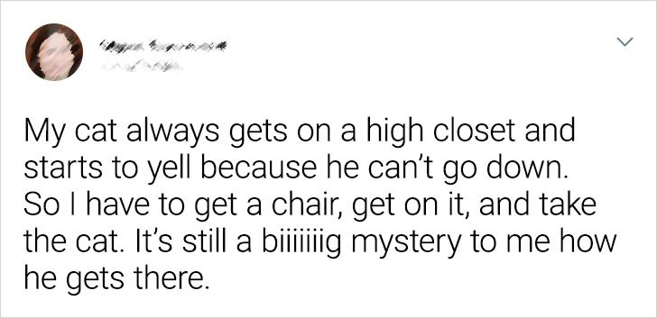 c781a450c394c60e6d1386e5cb