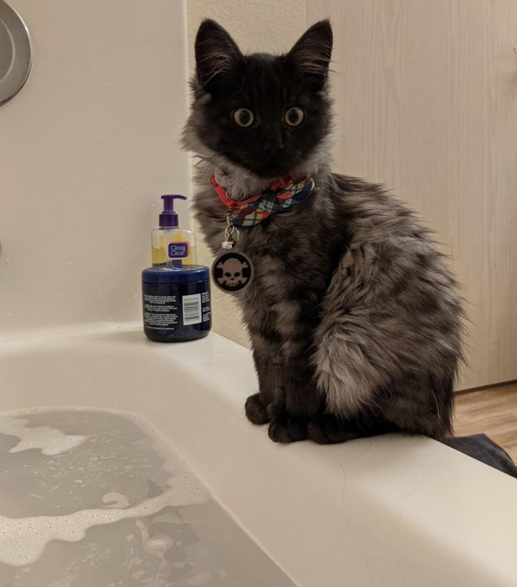 c7879f5012852b2cdb502018a6