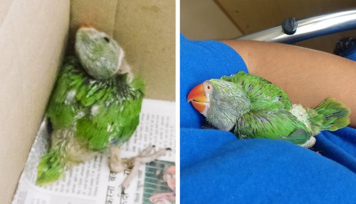 c7904e51e08cfa47a46accaa68