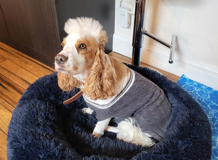 c790f05f439cc32e618475ddff