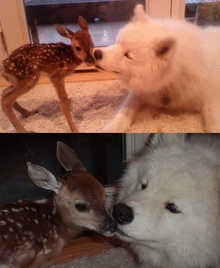 c7a0925037a13a98a7ead87b95