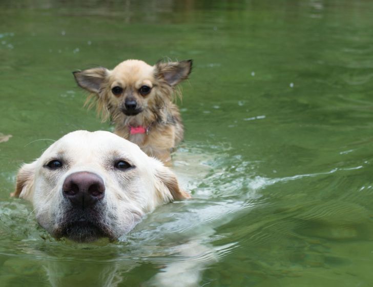 c7a09a5dc7b816fbffe20093d8