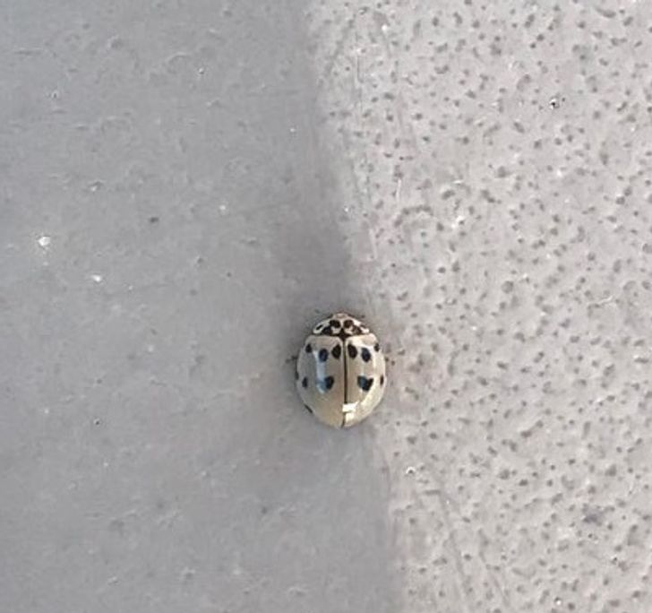 c7a2c3550a9b7efb8f6c92e904