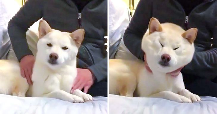 c7a61454ef8cbd820a459da77b