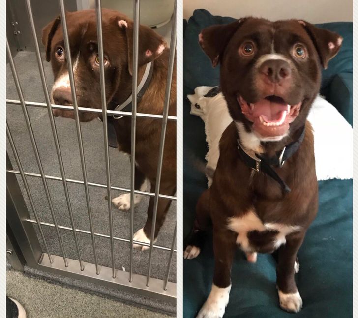 c7a6e95fbbab783e862358501d