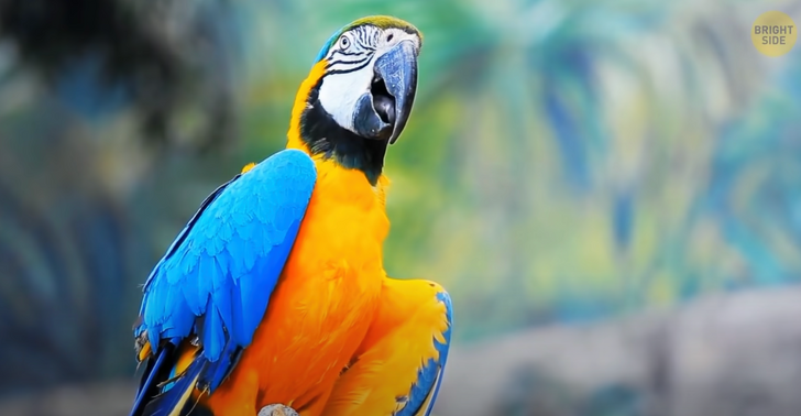 c7b2005ee7893a41dd8115d971