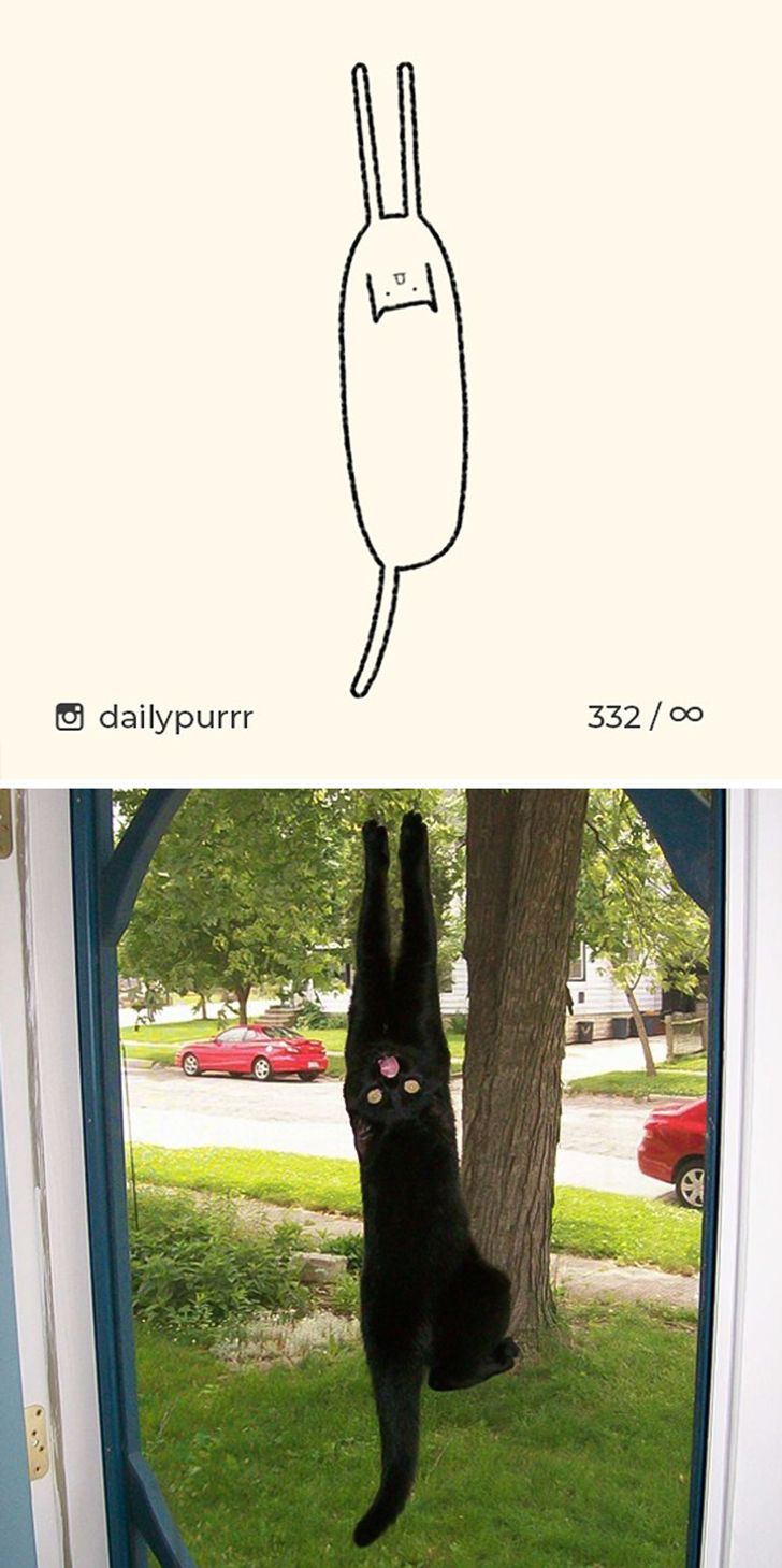 c7b63c52029044ce26f26c4d07