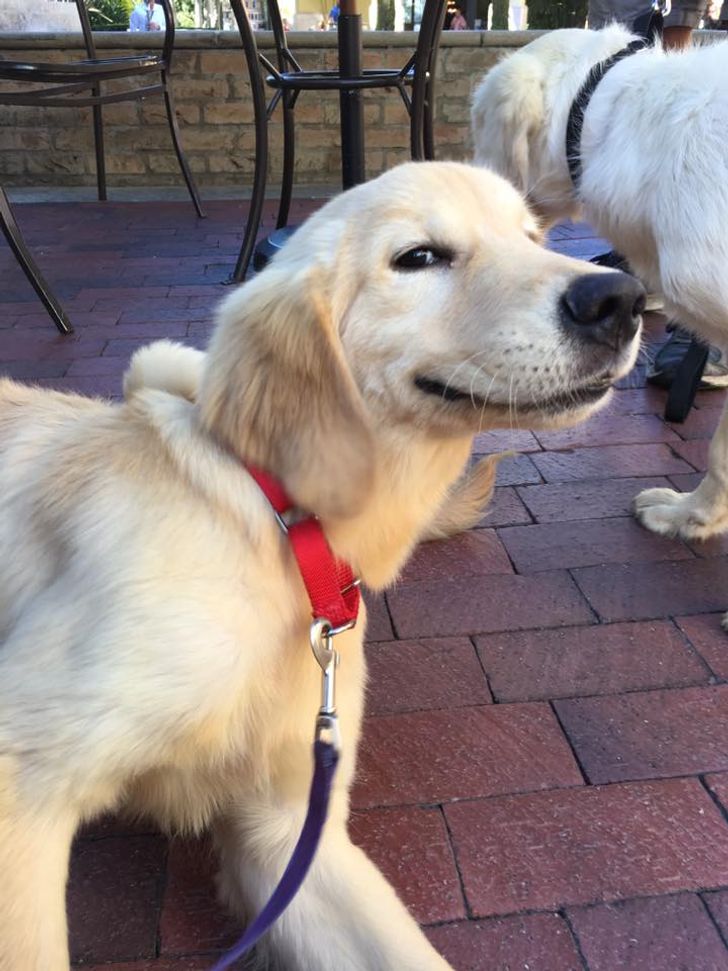 c7b79f5eb69a59335d4b6e4d6a