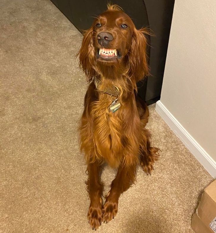 c7b9bf5aa7a2b84506772b1e01