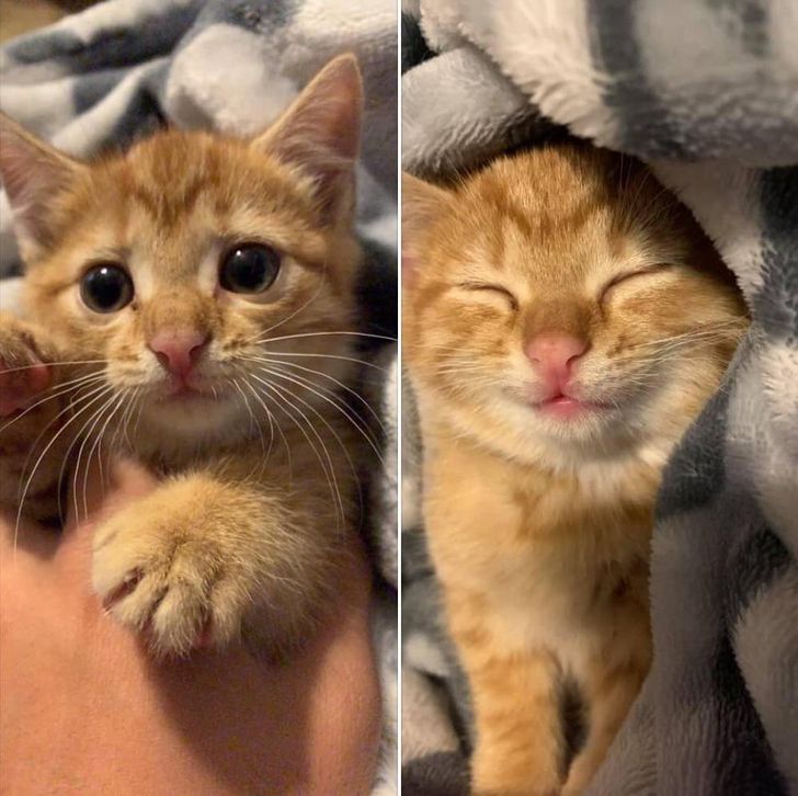 c7bb2154aa88d07c6d893f0851