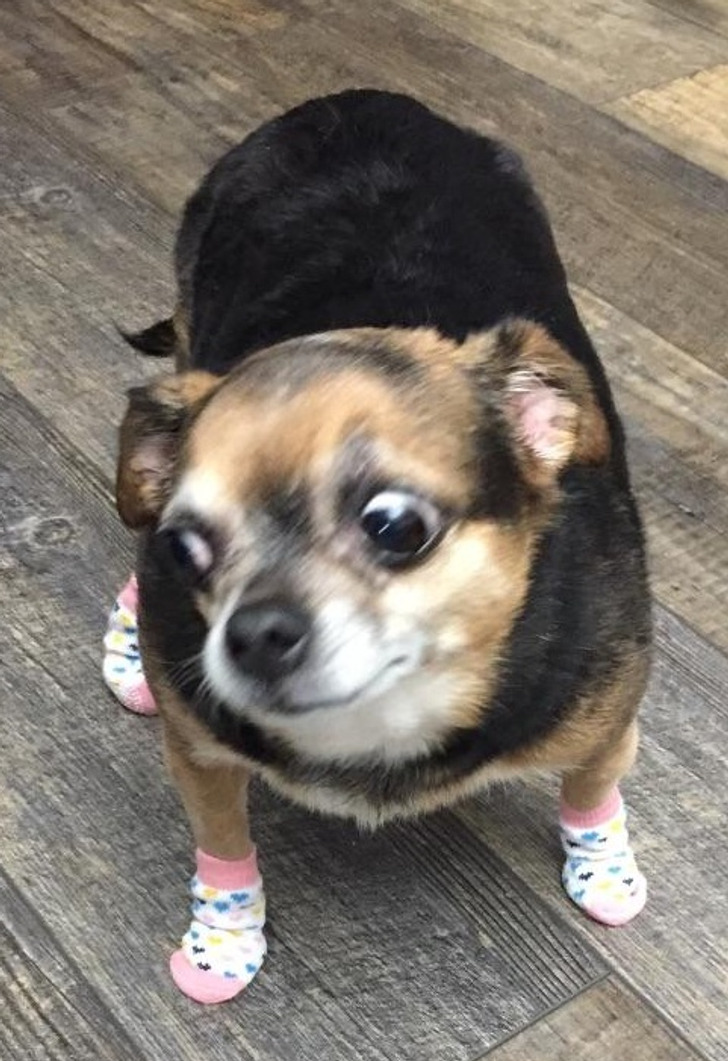 c7bb5657fdaff2e48ee926170b c7bb5657fdaff2e48ee926170b