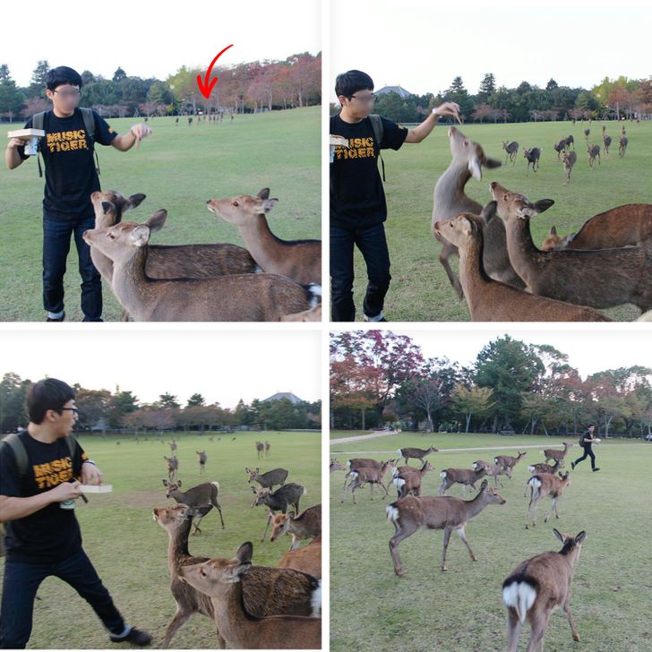 c7c2c755a89e4604782024ffca