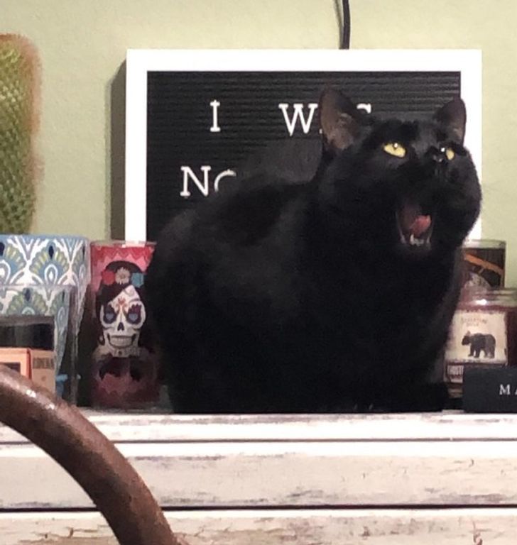 c7d7195e9186a6990651614bdb