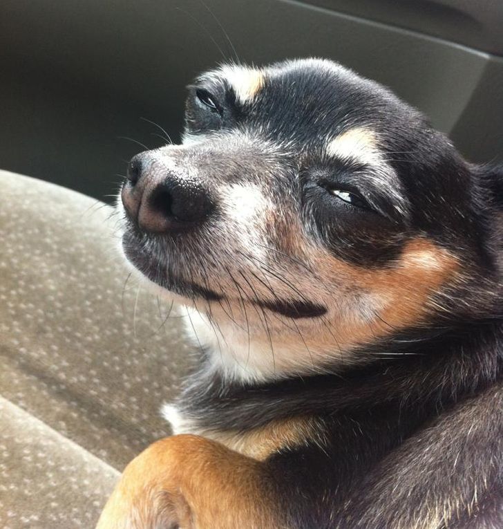 c7dc5e5b5aab5d73278b083260