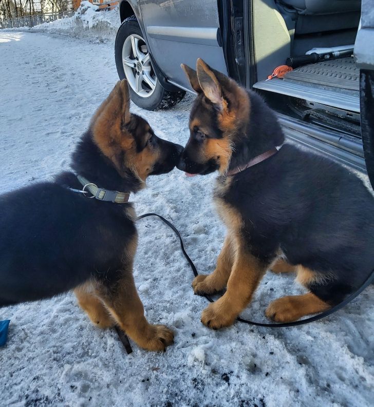 c7dcfe572dba5e526ff0acc2ce c7dcfe572dba5e526ff0acc2ce