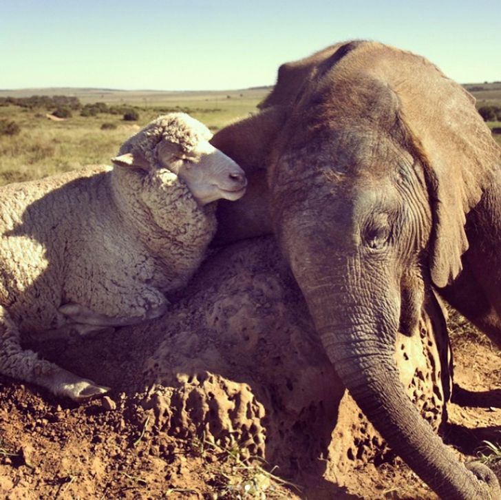 c7eb2a5649930fadf03295bc9e