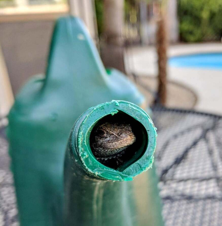 c7eb77547094dd14f0a8a1bde6 c7eb77547094dd14f0a8a1bde6