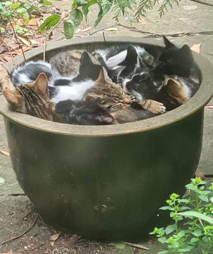 c7eb9b508194d66933e769ba1e c7eb9b508194d66933e769ba1e