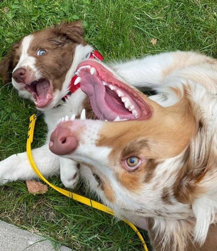 c7ed615892bd79f6b53131a601