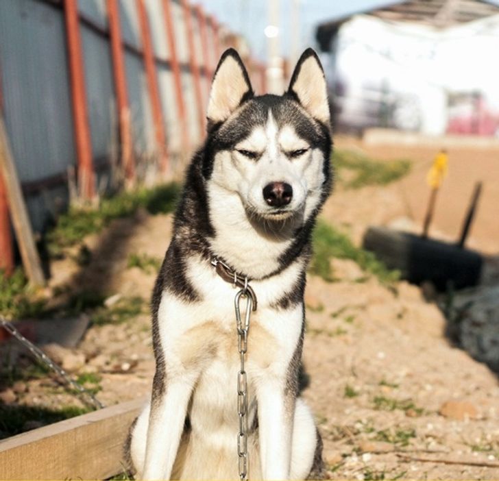 c7eda35f60a389257dc0e6b5c3