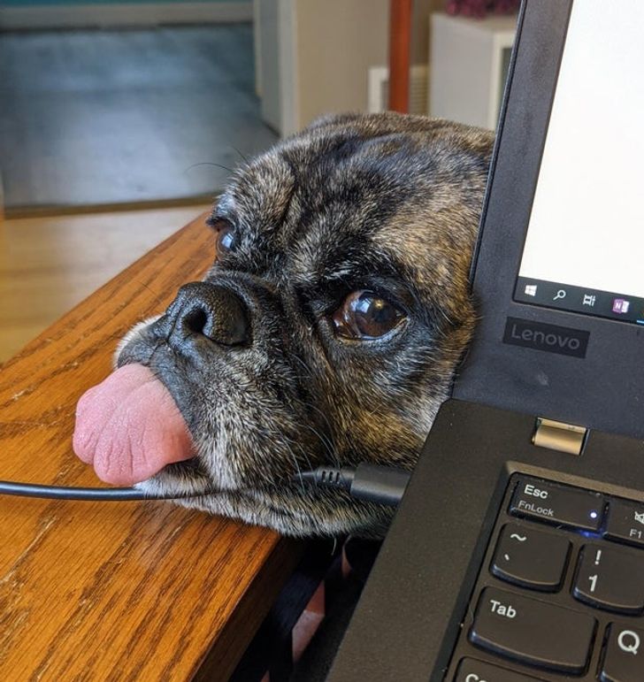 c7eee35a6d9193f034a8e19c7c