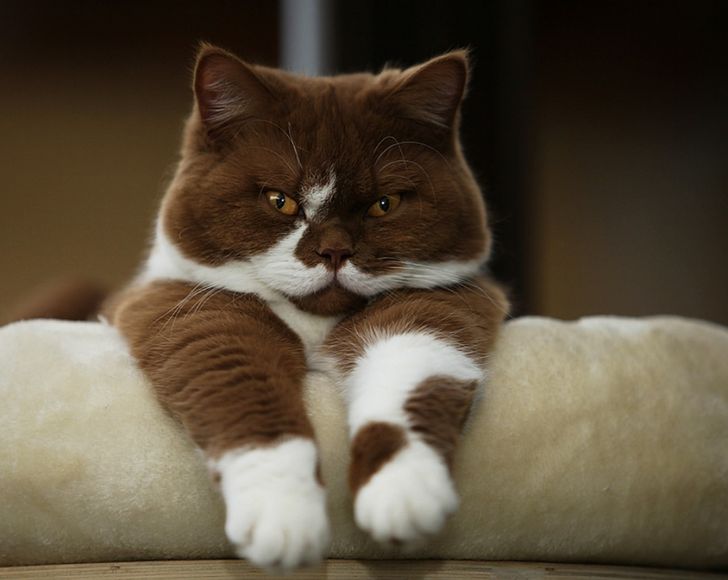 c7ef065f19b5966fd67d6d665f