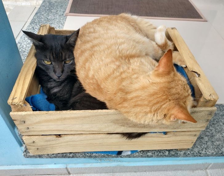 c7f5eb5b2c964f1c256d9b0de4