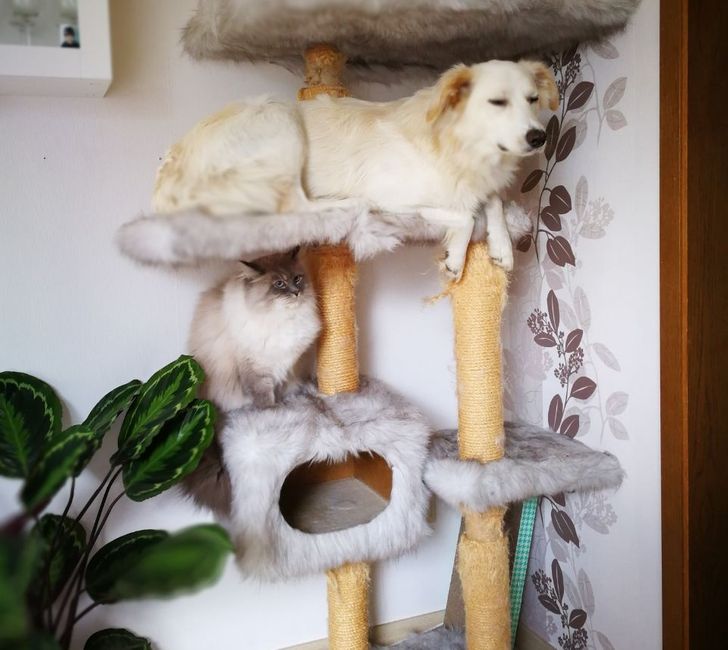 c7fcec529aab264c2a53dee635