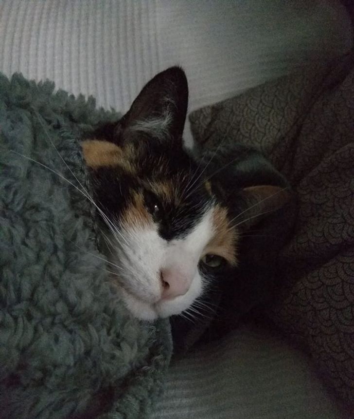 c801065c35b308a0f5195673df