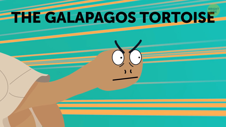 c807795ff28a399795270ac587 c807795ff28a399795270ac587