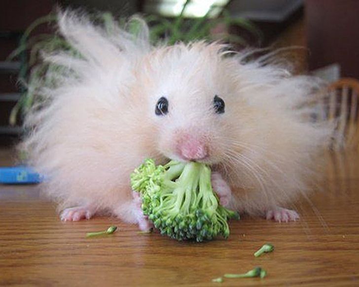 c8116d5d2aade6ad8a59be4d87