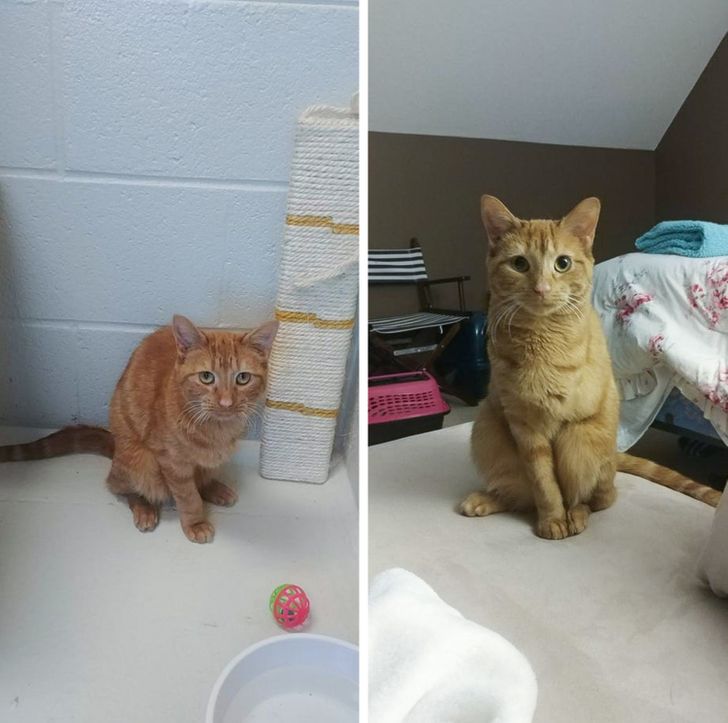 c81aec5ac7b22add9943ec1316