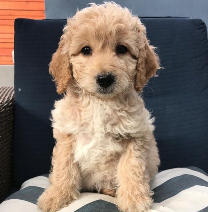 c8265c5e52bd4e4e3fbbc89414