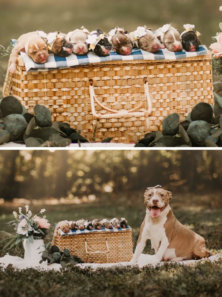 c82a165b949b254102a434c9e3