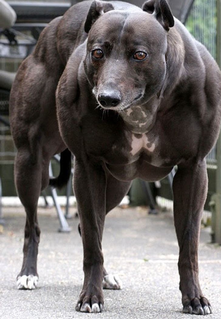 c82c695380aaa91ebbcd55a9f0