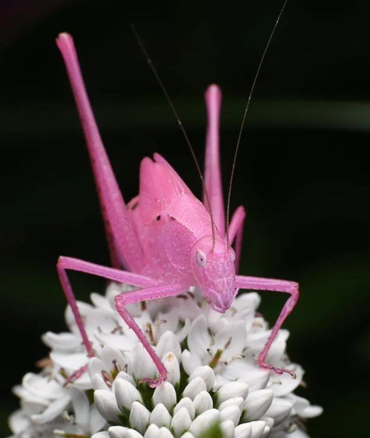 c82d6e5873b33fa718f1f3f9cb