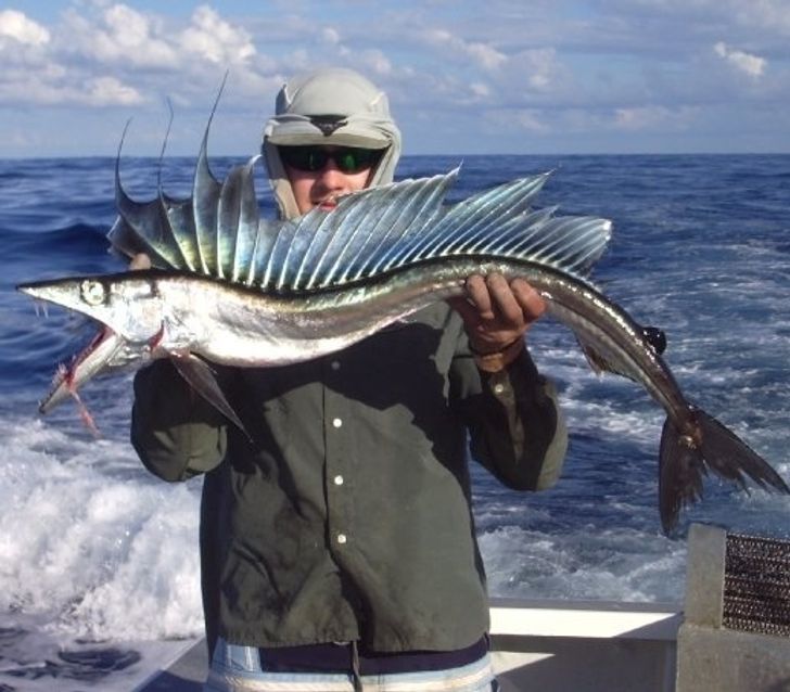 c82f665a19a5b6292964d65b1a