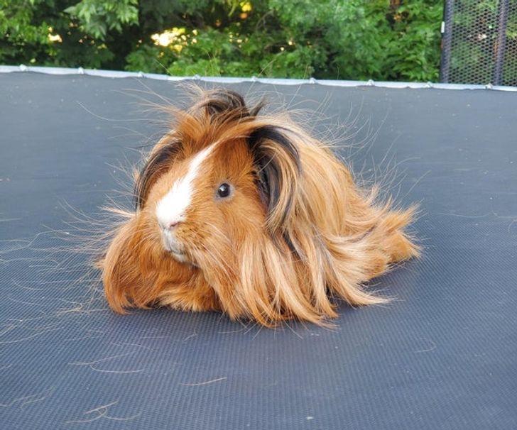 c83c88555789ea82307f6b5c31