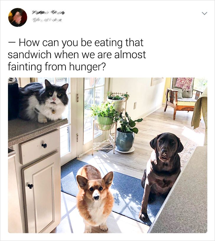 c83f7355ee8024489b8aa3be95