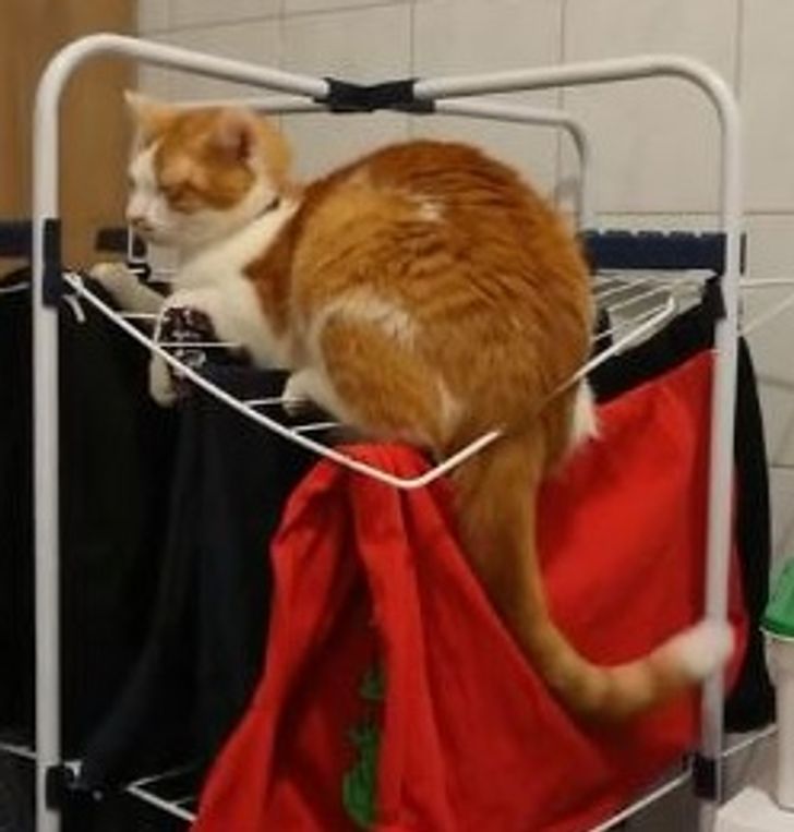 c843fb5f0bbf5bd8fab697cc2a