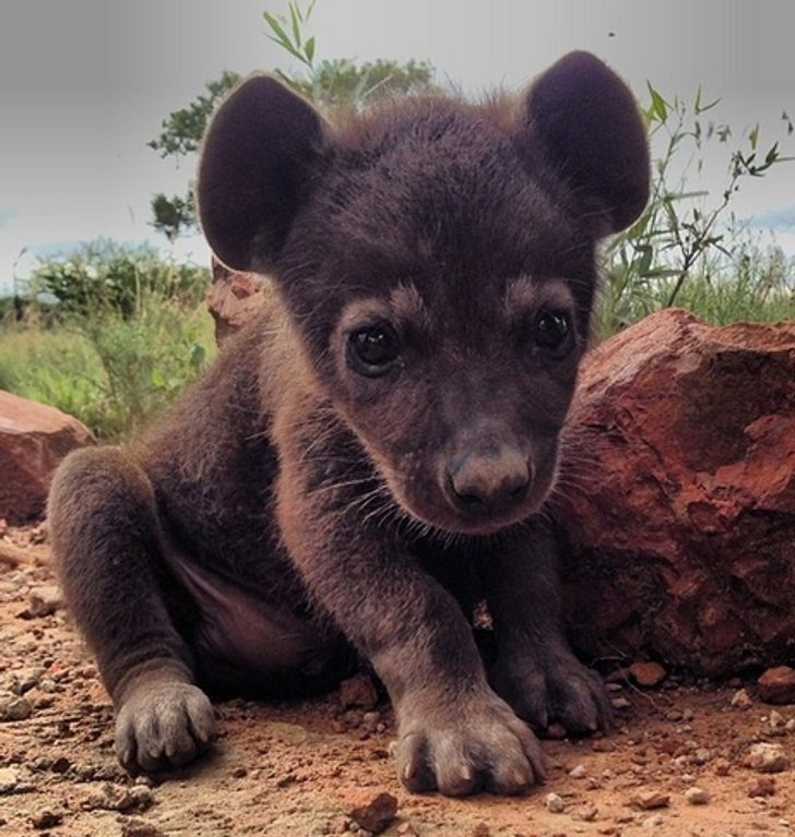 c844e255b4a9fb99853877a7fa