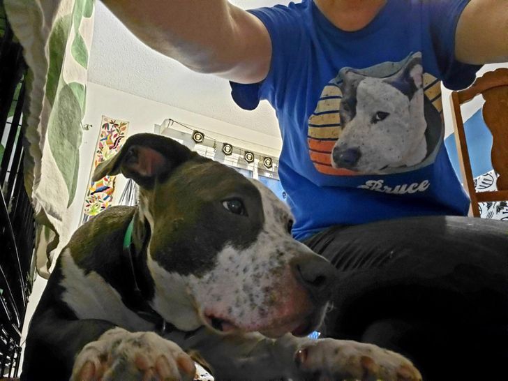 c85e6553b990eeedcb4bfcee92