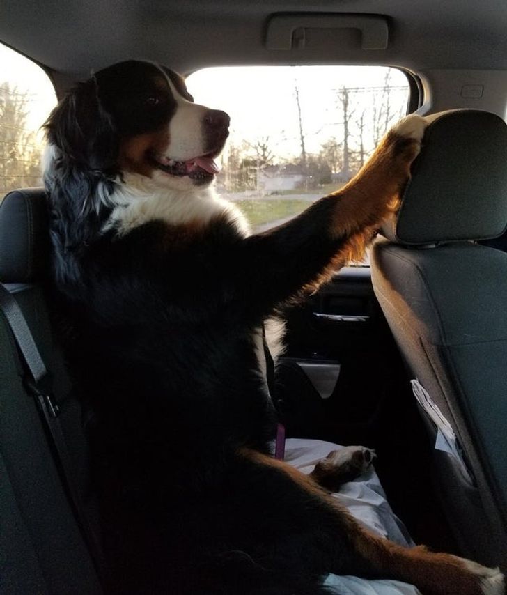 c8609b5ce9aa06e19dea9c5e25