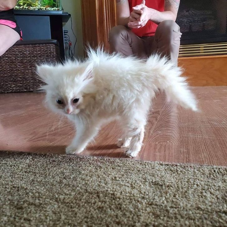 c8617b54abb72855d56fbcba6b